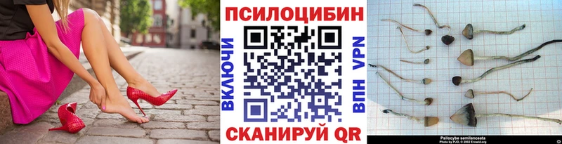 Псилоцибиновые грибы GOLDEN TEACHER  blacksprut вход  даркнет официальный сайт  Новая Усмань 